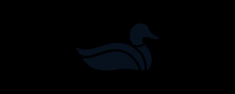 Pato Pampa